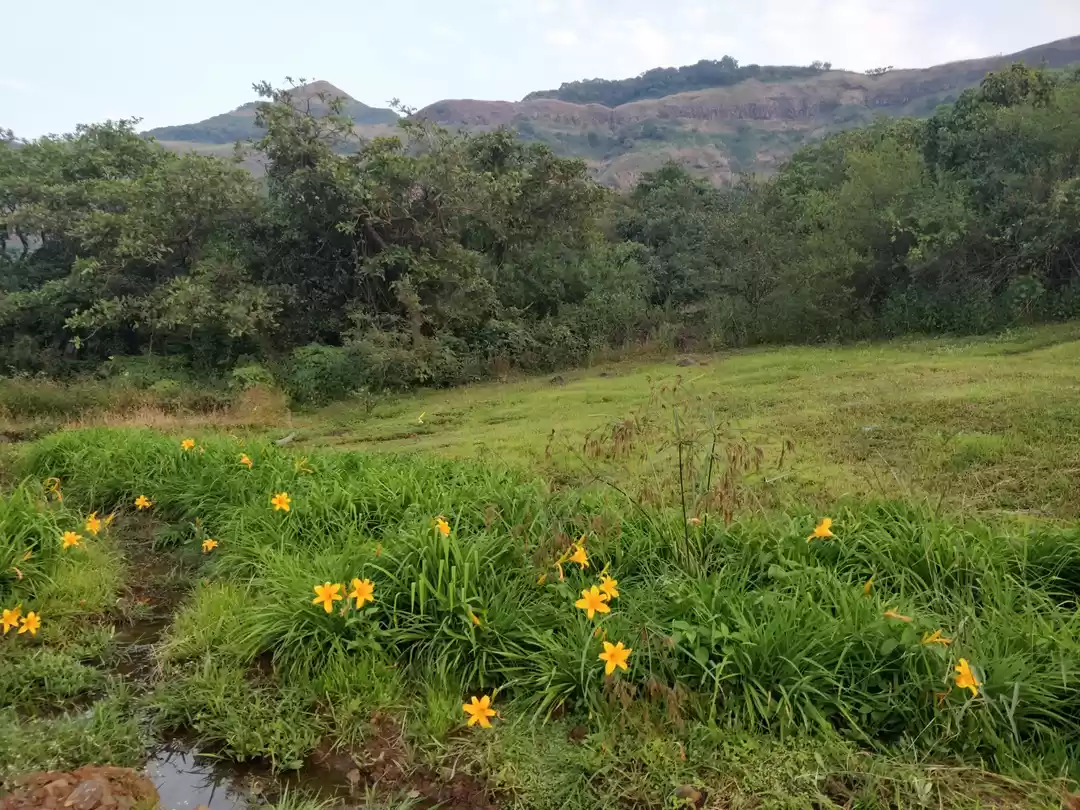 Photo of Live your childhood