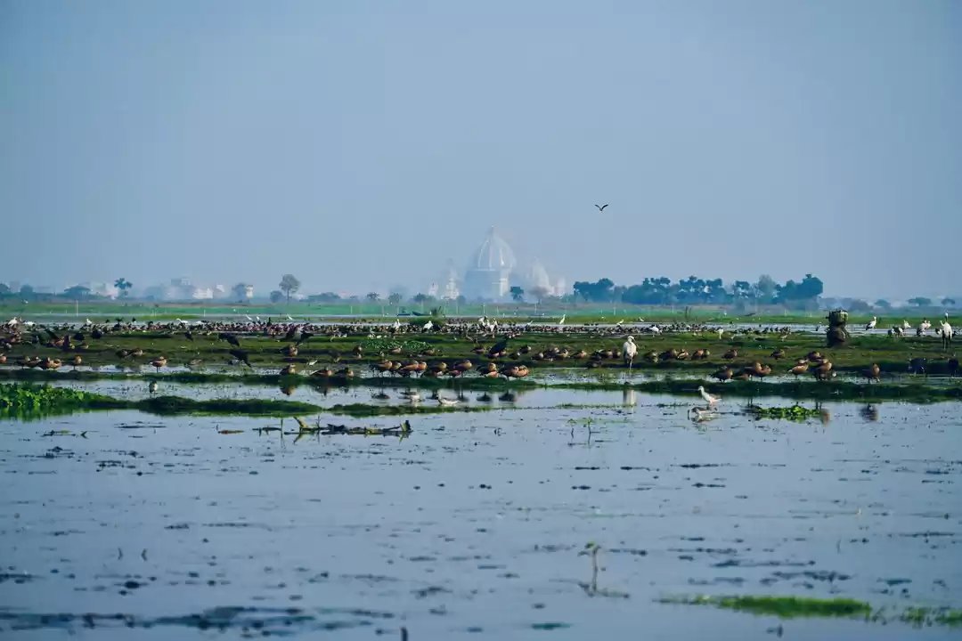 Photo of A Best Place for Bir