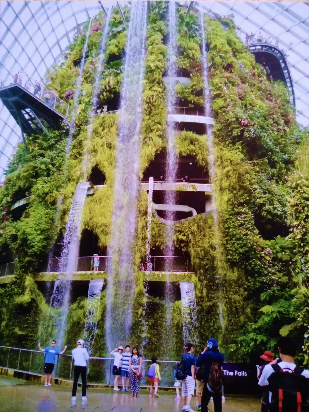 Photo of Cloud Forest Singapo