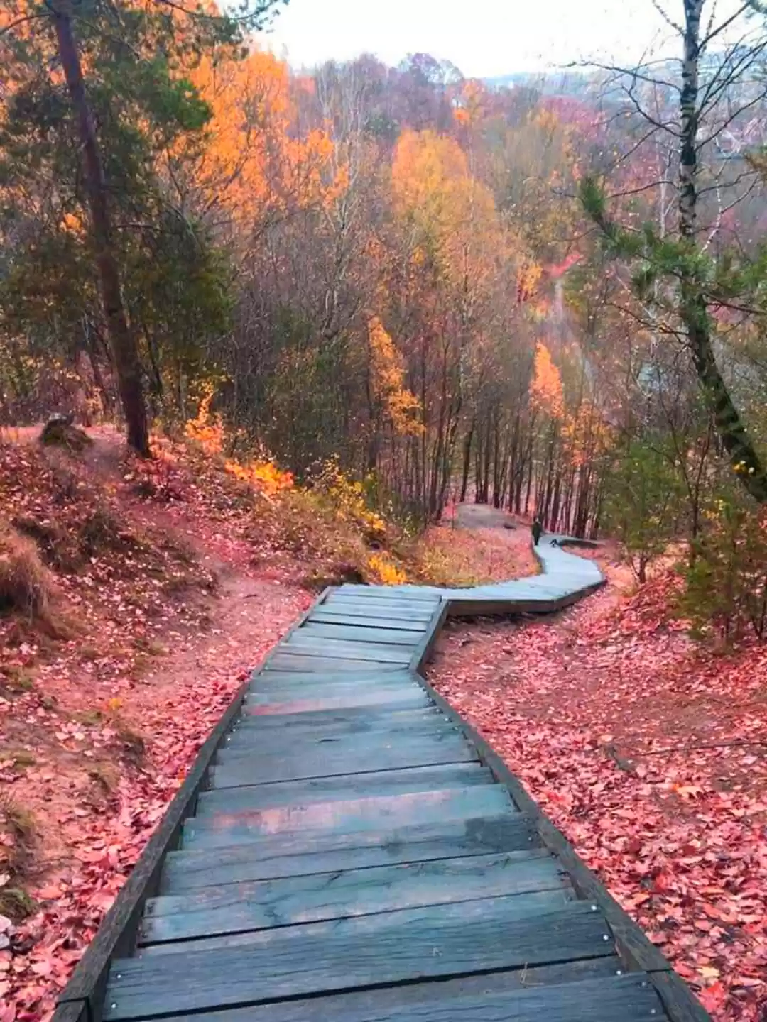 Photo of An autumn day in Vil