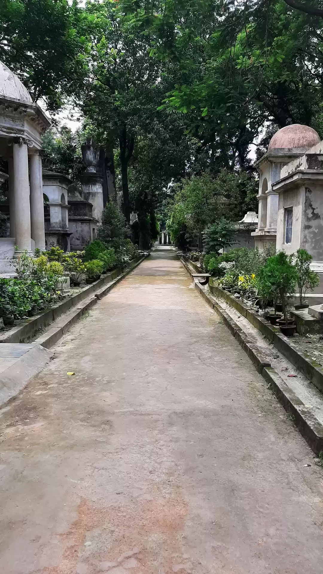 Photo of South Park Street Ce