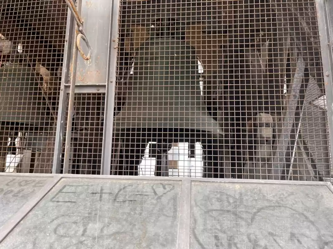 Photo of St Pierre Cathedral 