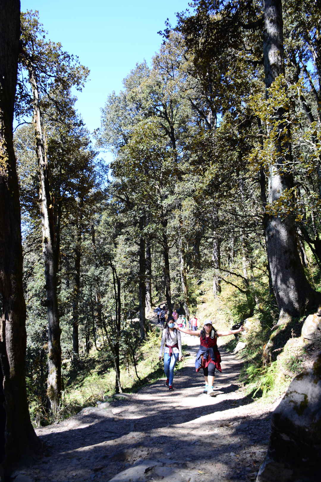 3 Days in Himachal (Jibhi – Jalori – Tirthan)