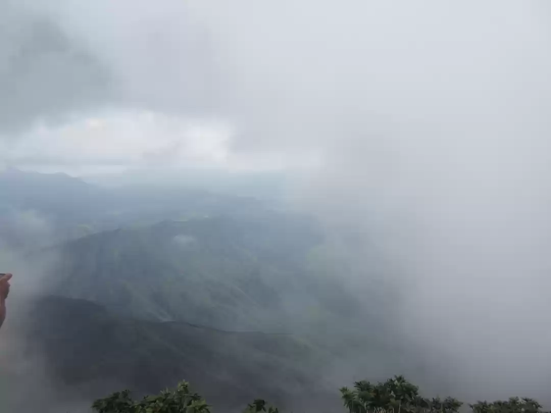 Photo of Meesapulimala