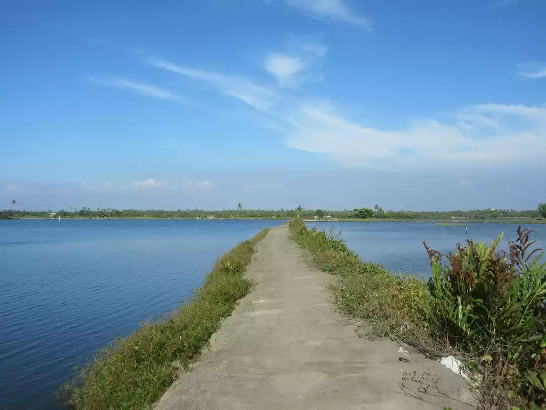 Photo of Kadamakkudy