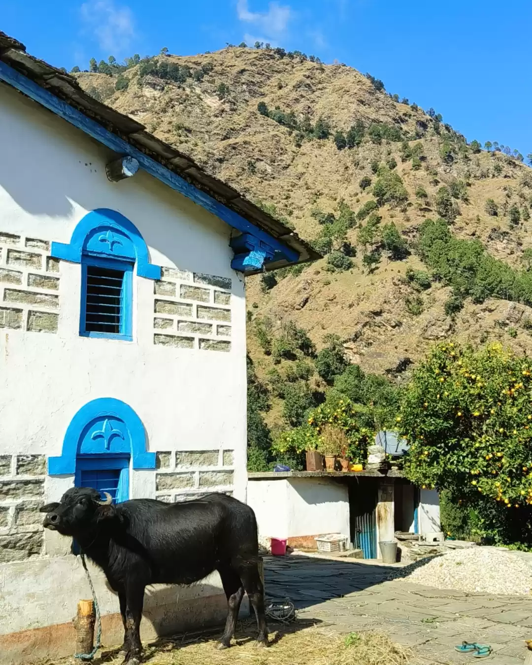 Photo of Village vibes..