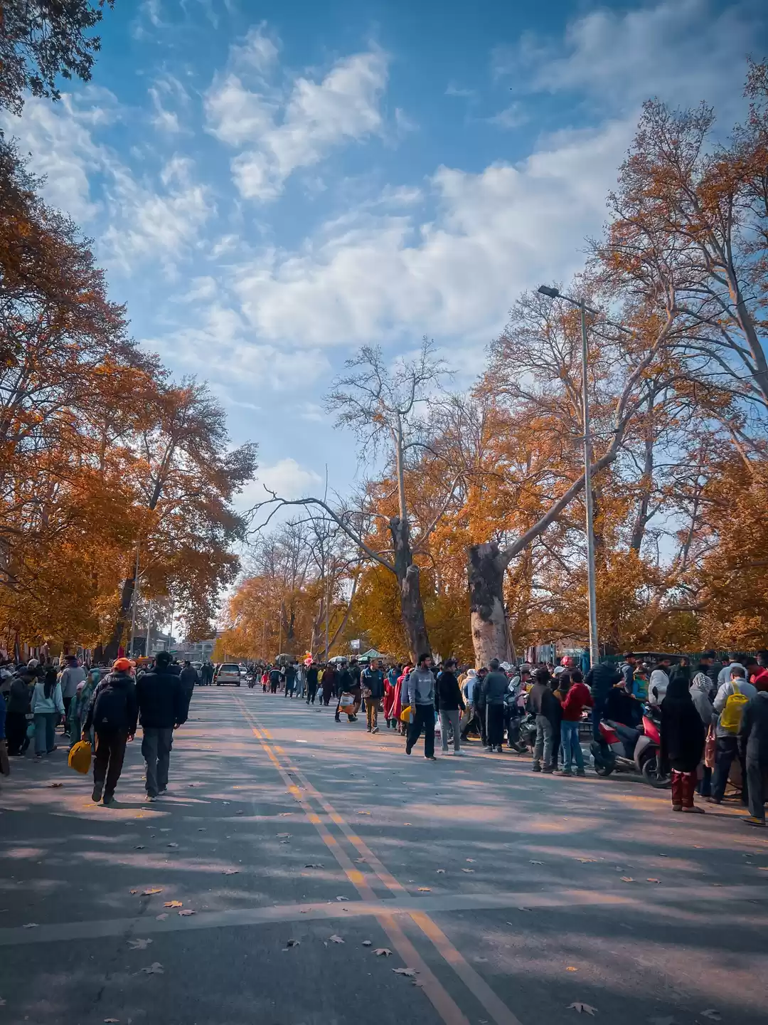 Photo of If You're in Srinaga