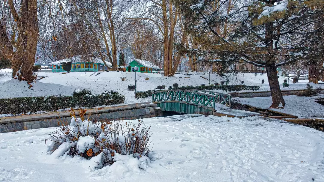 Photo of Kokernag Botanical G