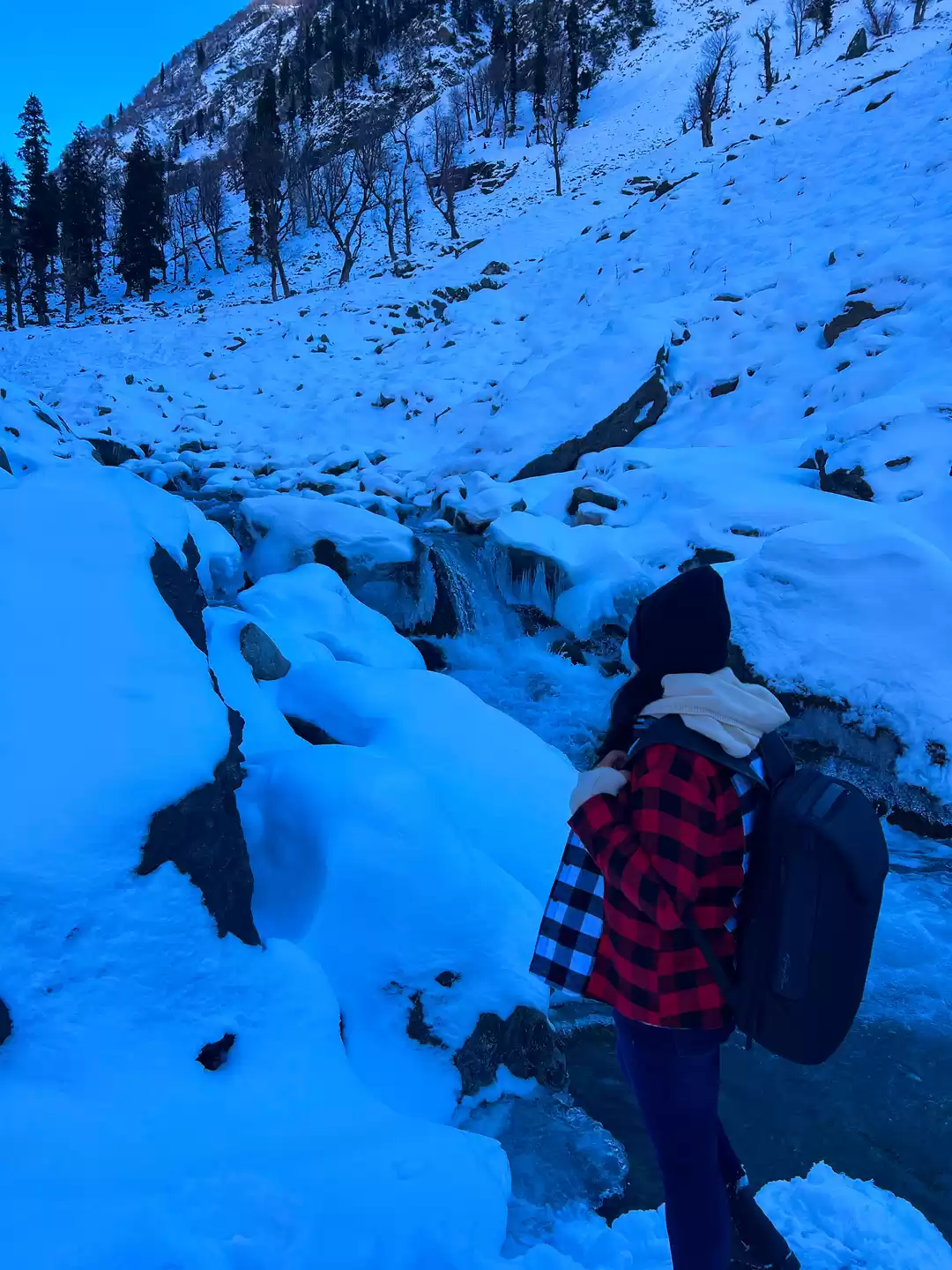 Photo of Pahalgam: A Winter W