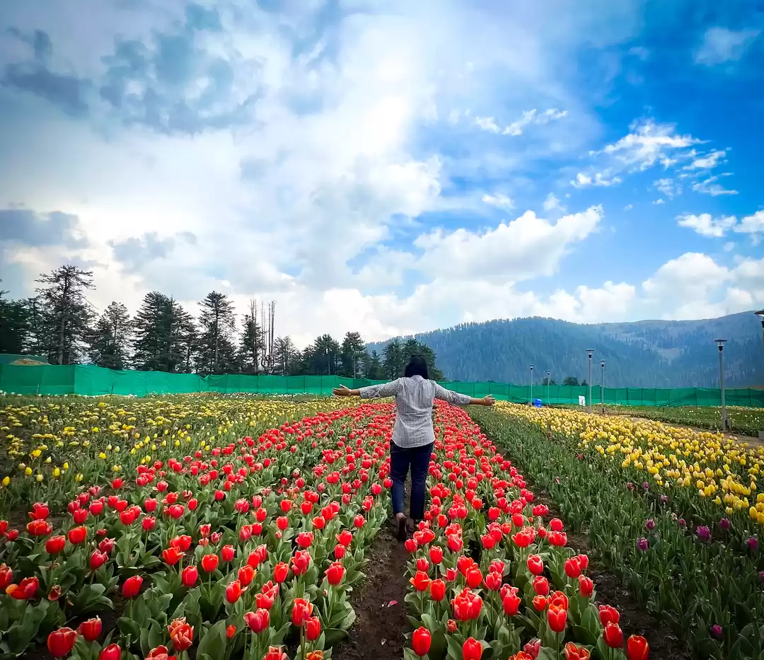 Photo of Spring Splendor Beyo