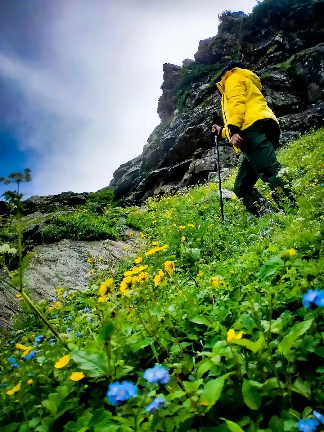 Photo of The waterfall,flower