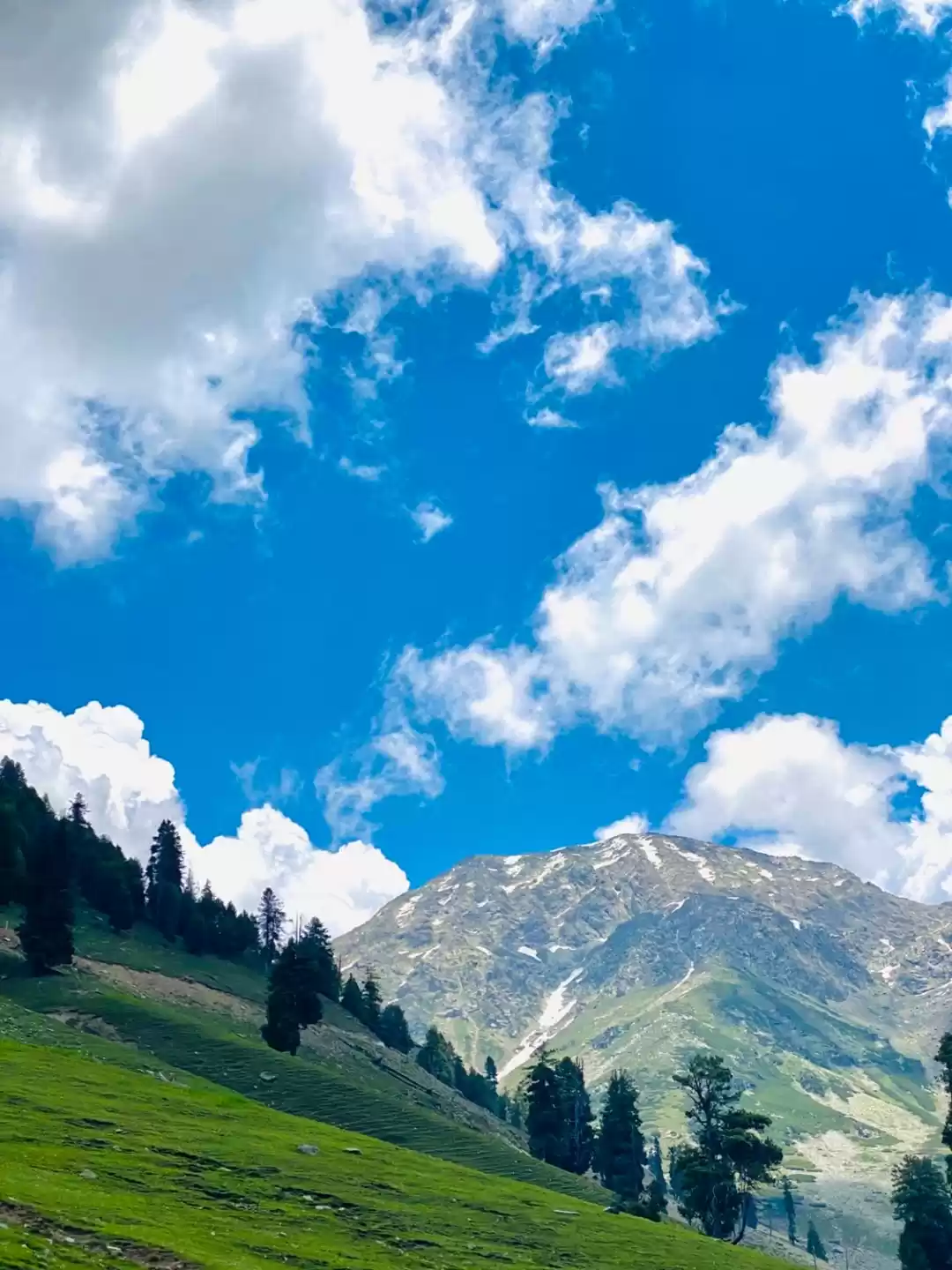 Photo of The mighty Margan To