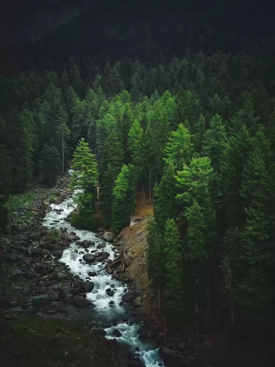 Photo of The beautiful Betaab