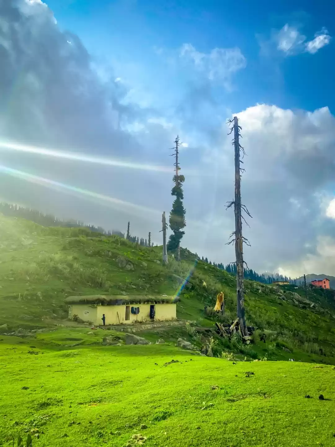 Photo of The lush green valle