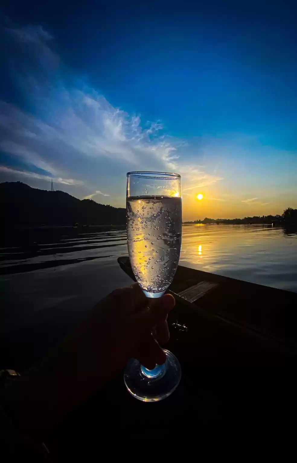 Photo of The leisure of dal l