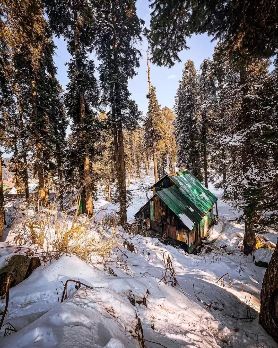 Photo of Gorgeous Gulmarg 