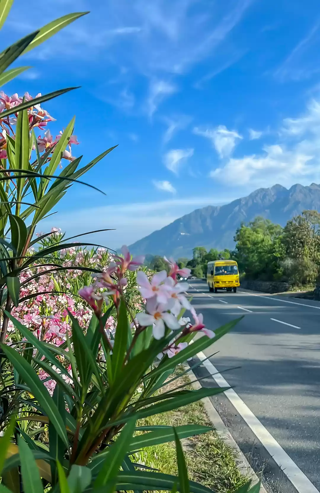 Photo of The NH 44 (Jammu -Sr