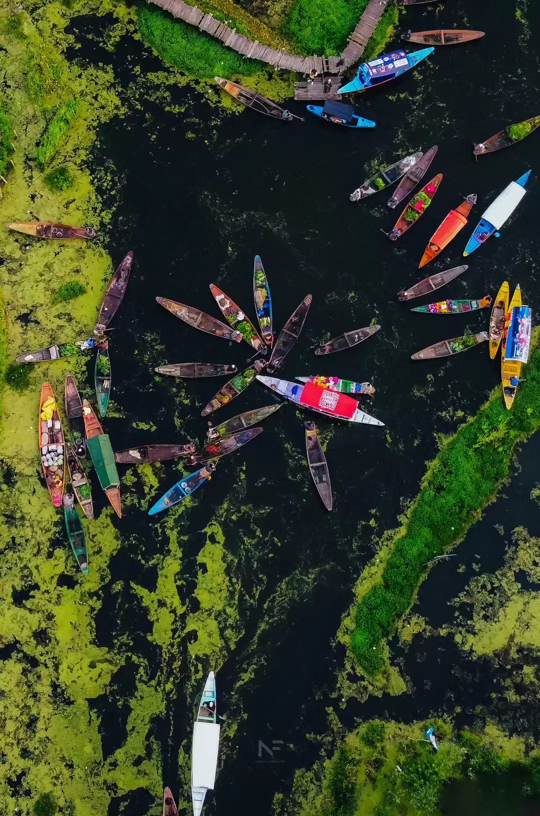 Photo of Floating market Dal 