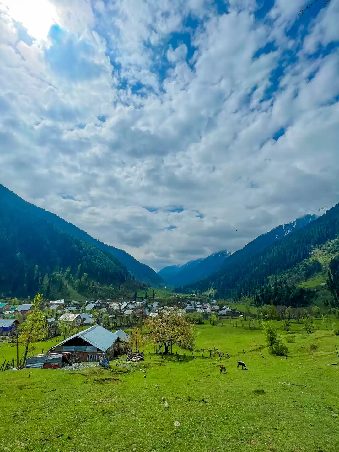 Photo of The meadows and moun