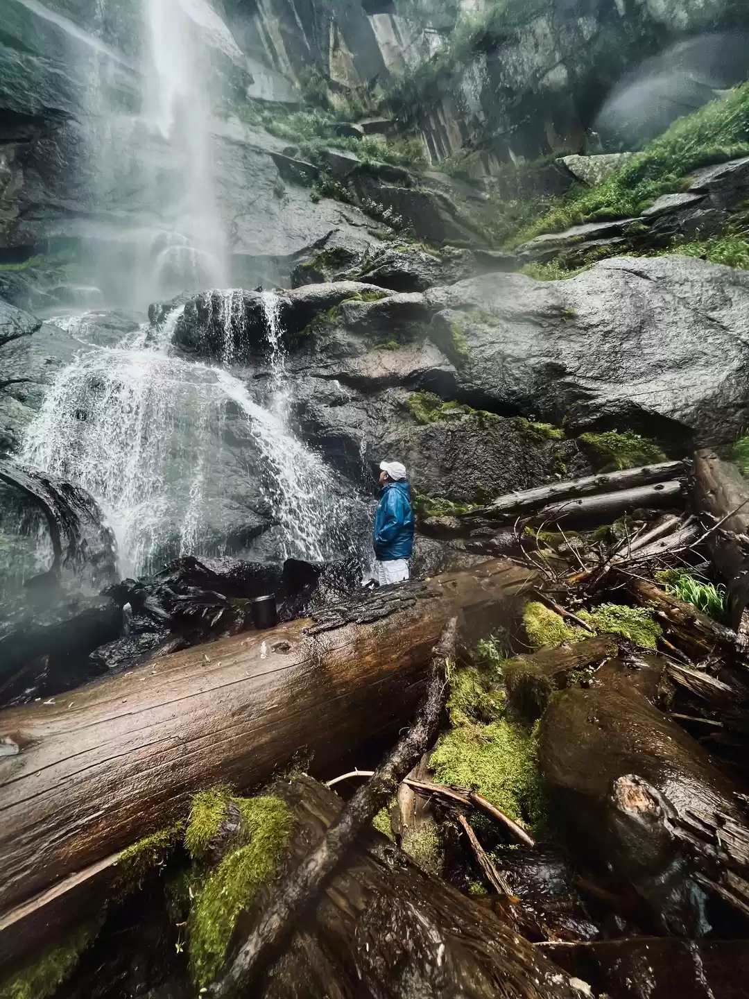 Photo of Waterfall in wildlif