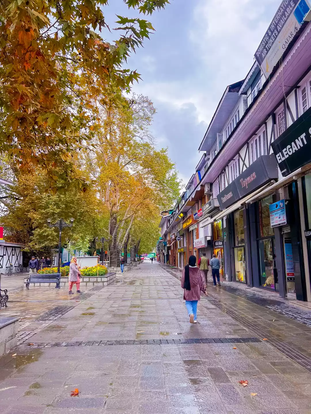 Photo of The colors of fall h