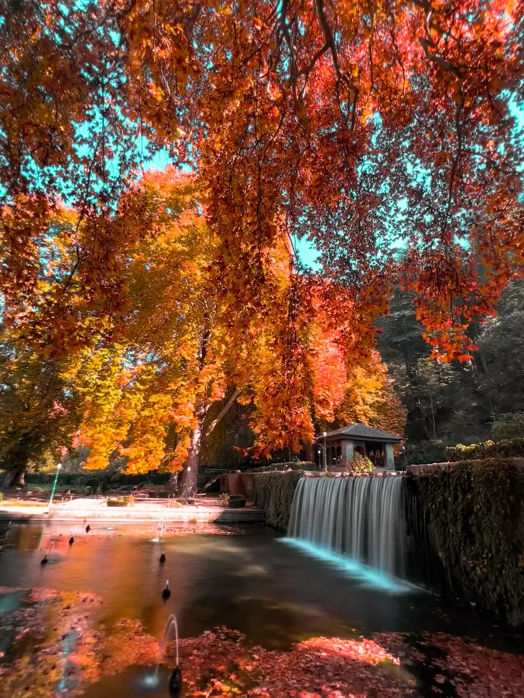 Photo of The garden which giv
