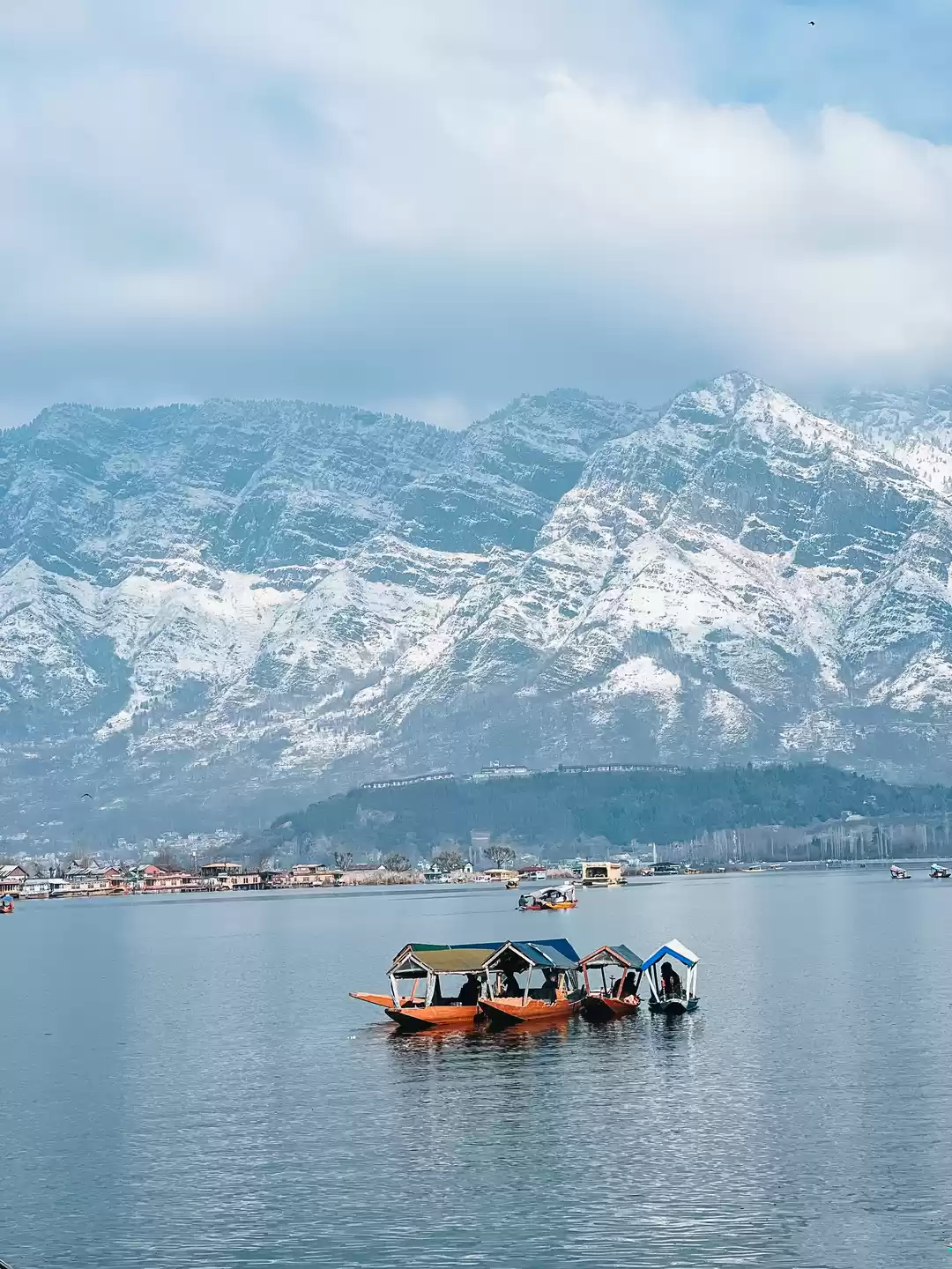 Photo of Spring's Awakening: 