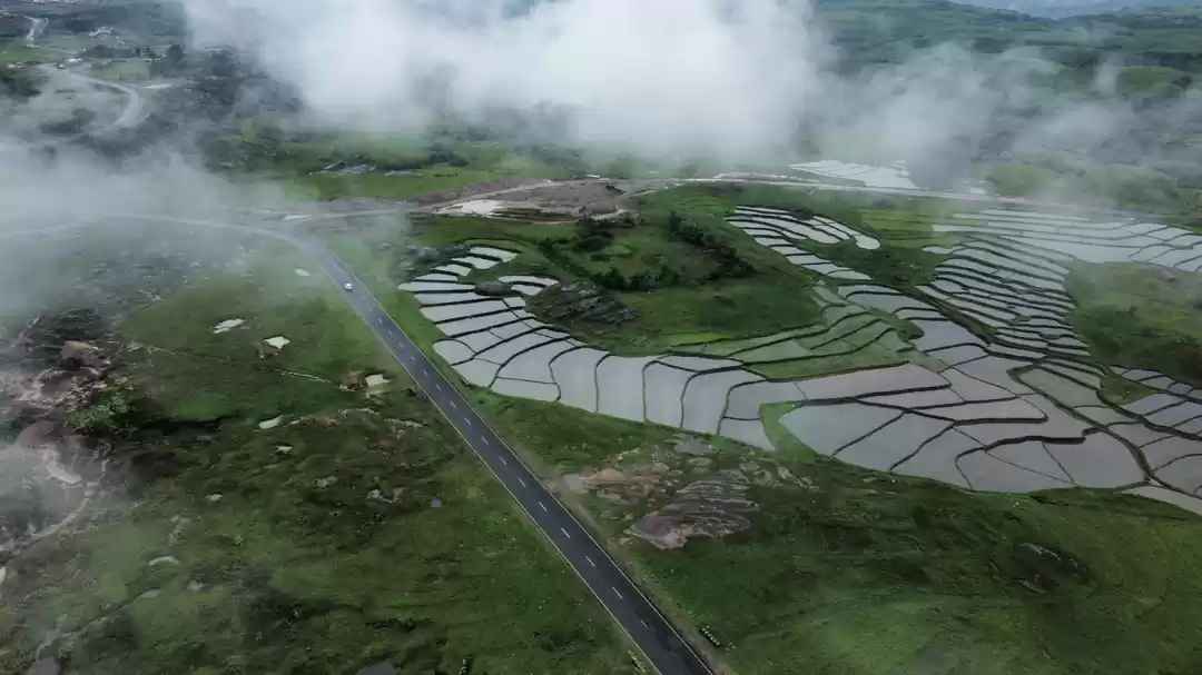 Photo of Embracing the Mist: