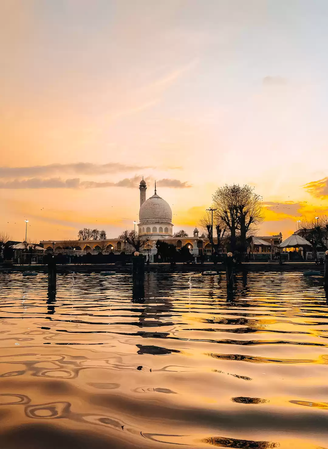 Photo of Mirrored Majesty: Ha