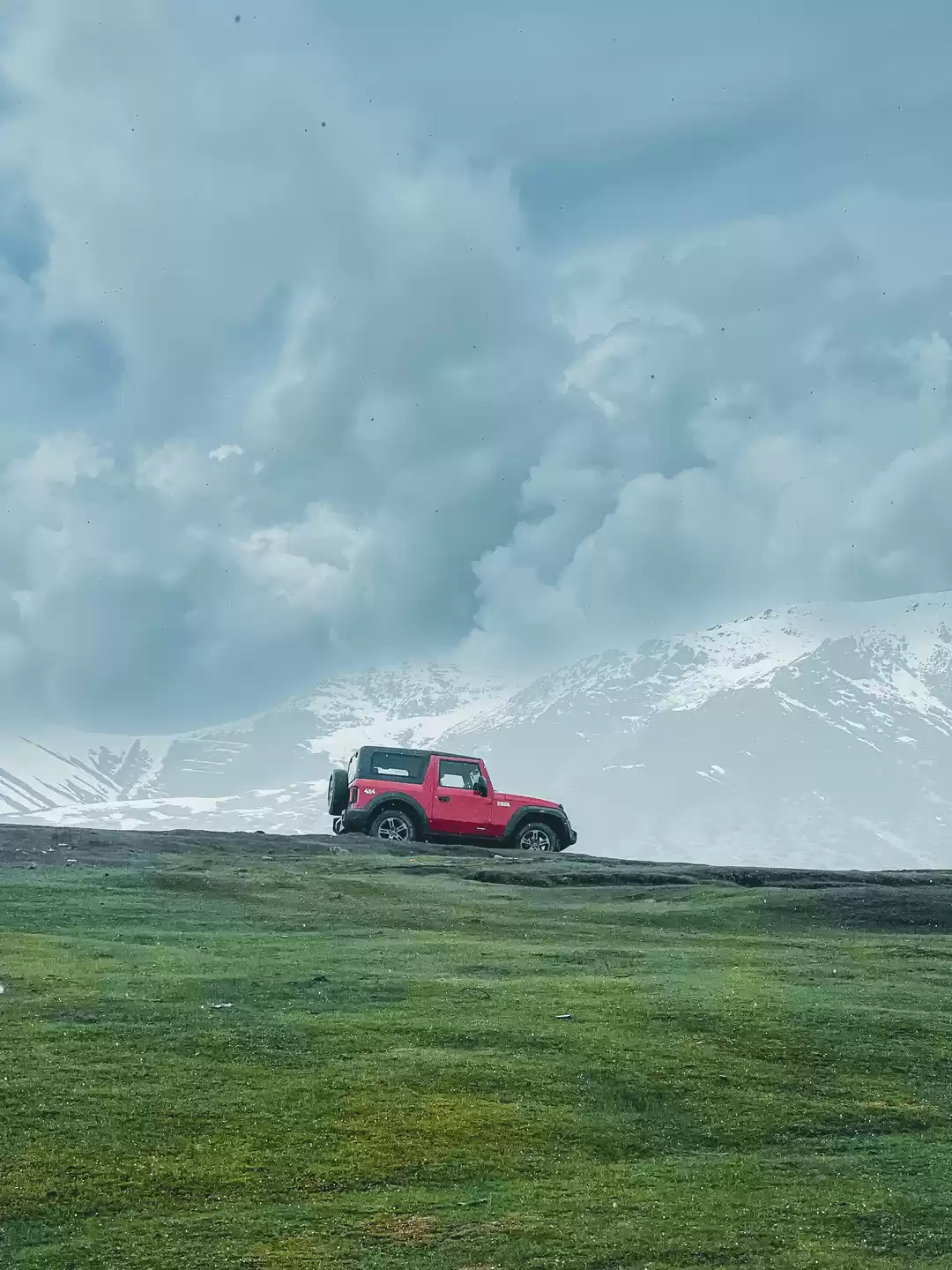 Photo of A Sea of Green: Tosh