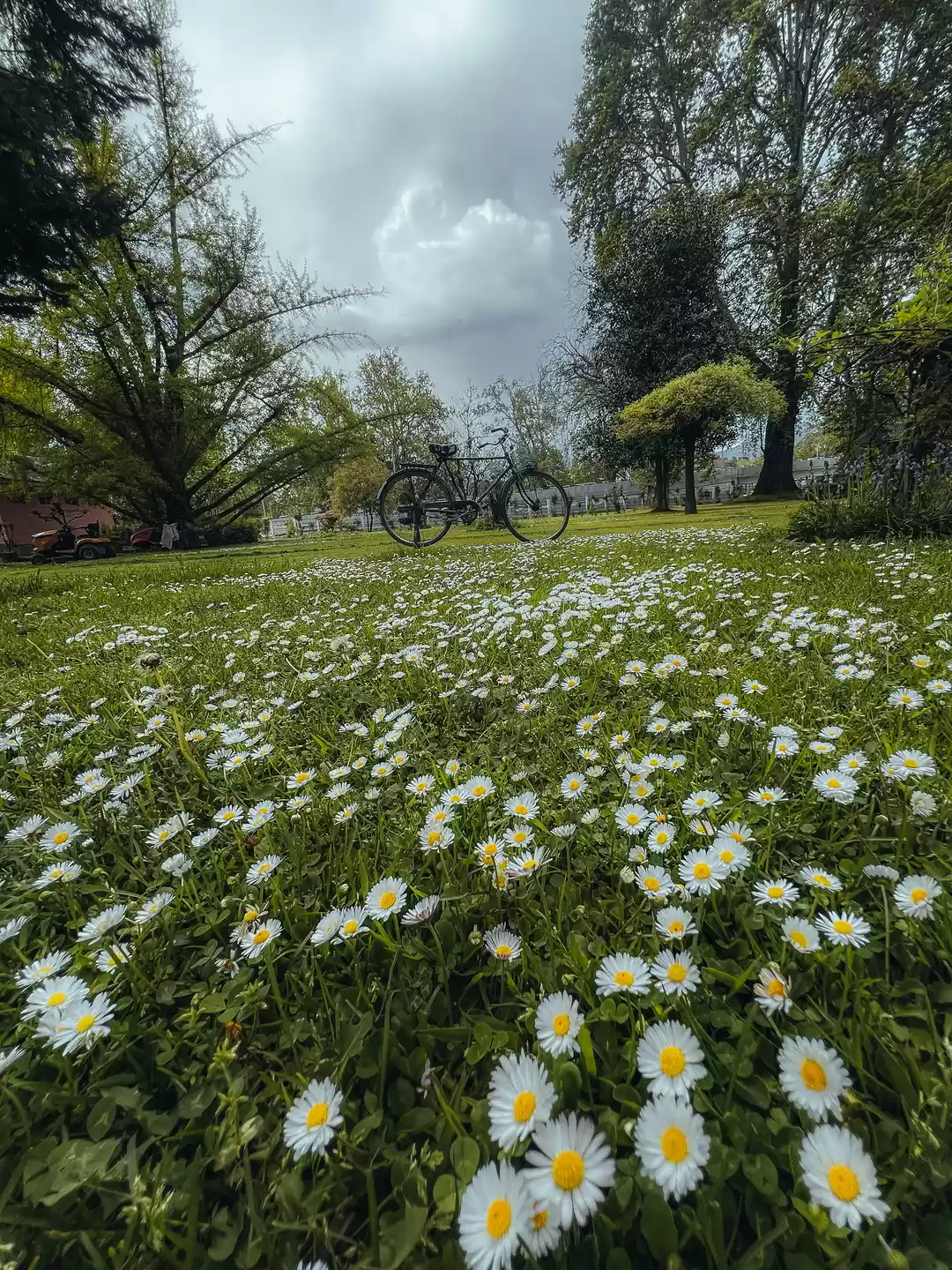 Photo of A peaceful pause in 