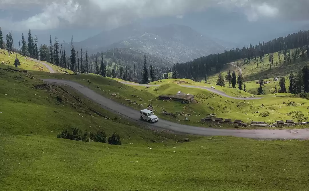 Photo of Explore the lush bea