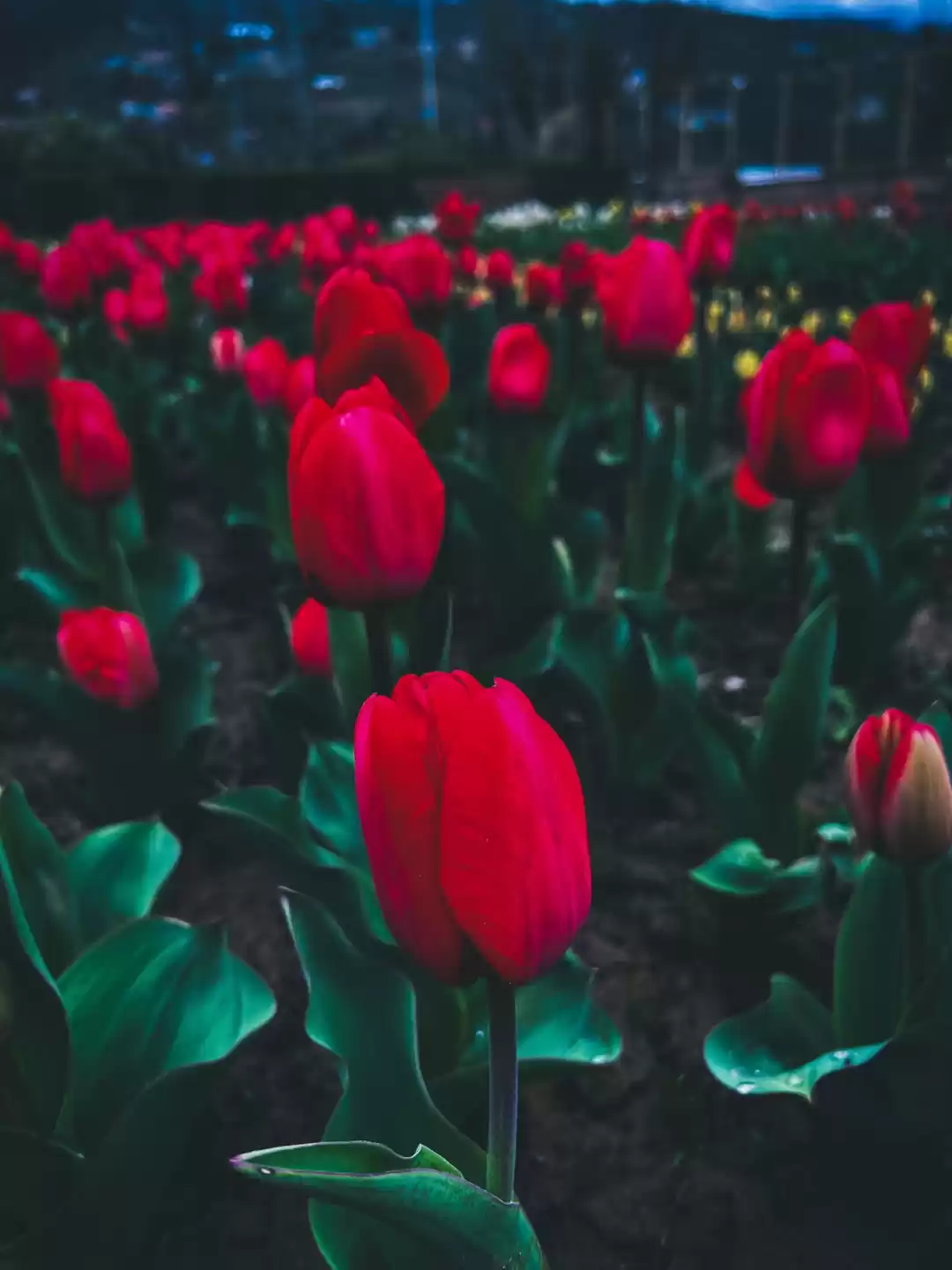 Photo of This Spring, Head to