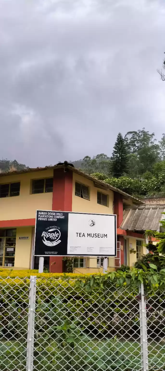 Photo of Munnar Tea Museum 
