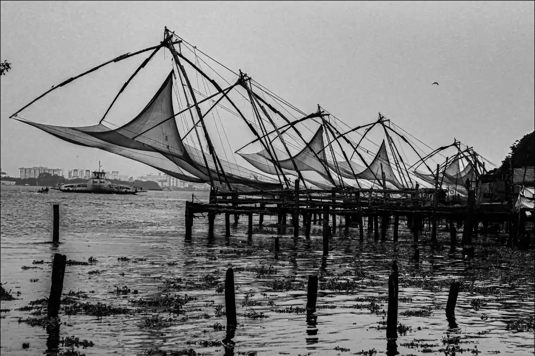 Photo of Kochi a bit offbeat