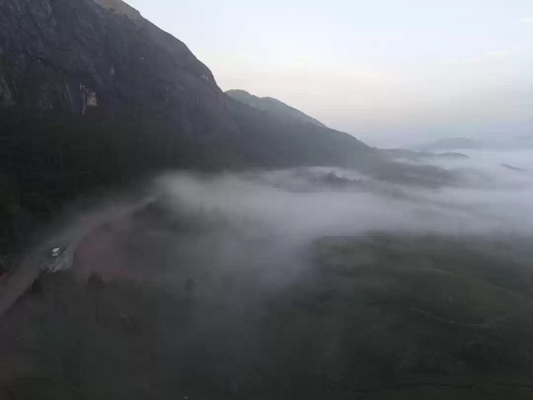 Photo of Cloud Beds,Munnar