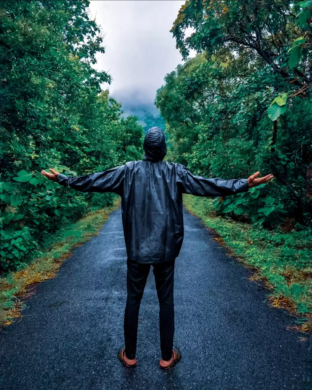 Photo of Last monsoon