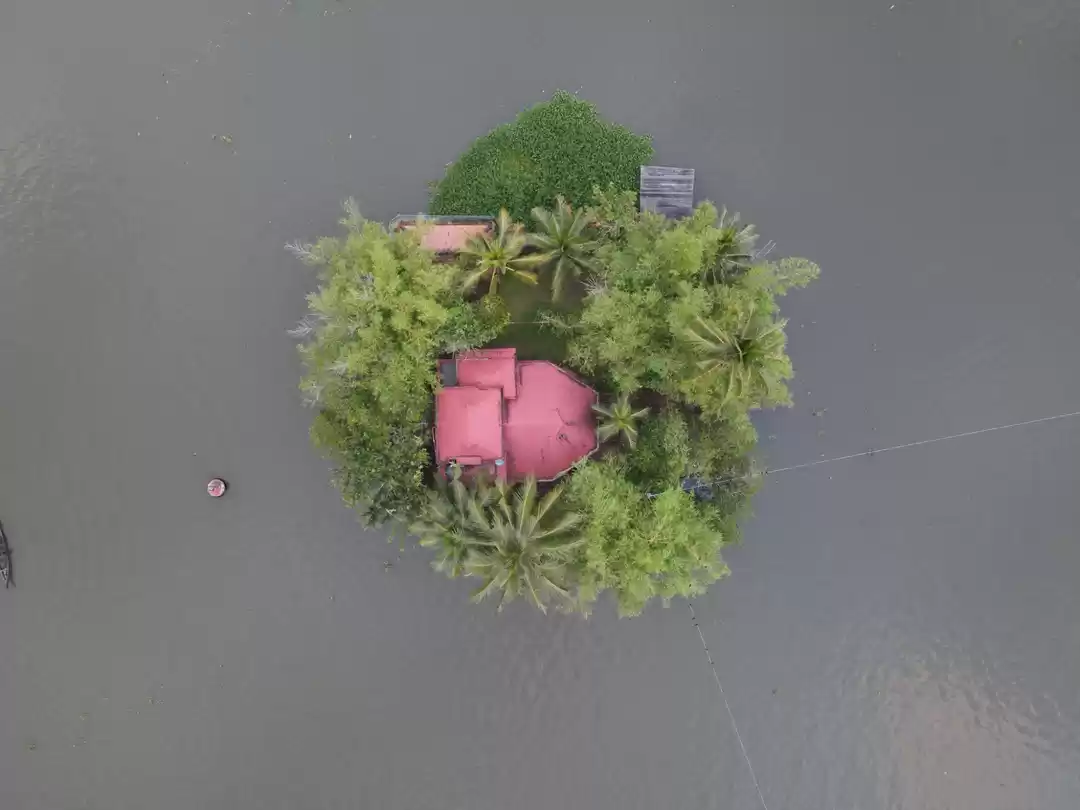 Photo of Backwaters from a bi