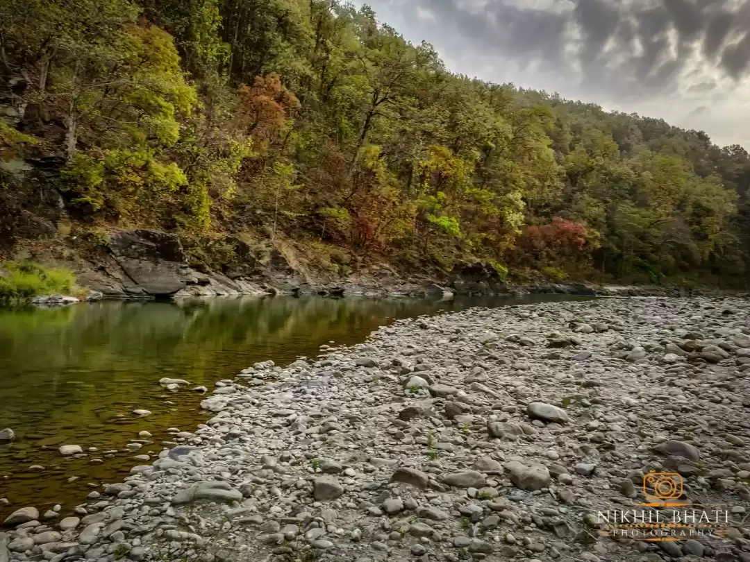 Photo of जिम कॉर्बेट नेशनल पा