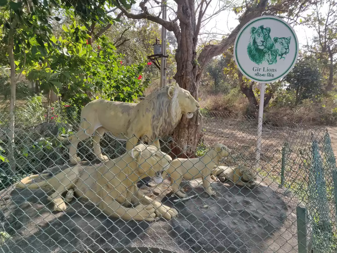 Photo of गिर राष्ट्रीय उद्यान