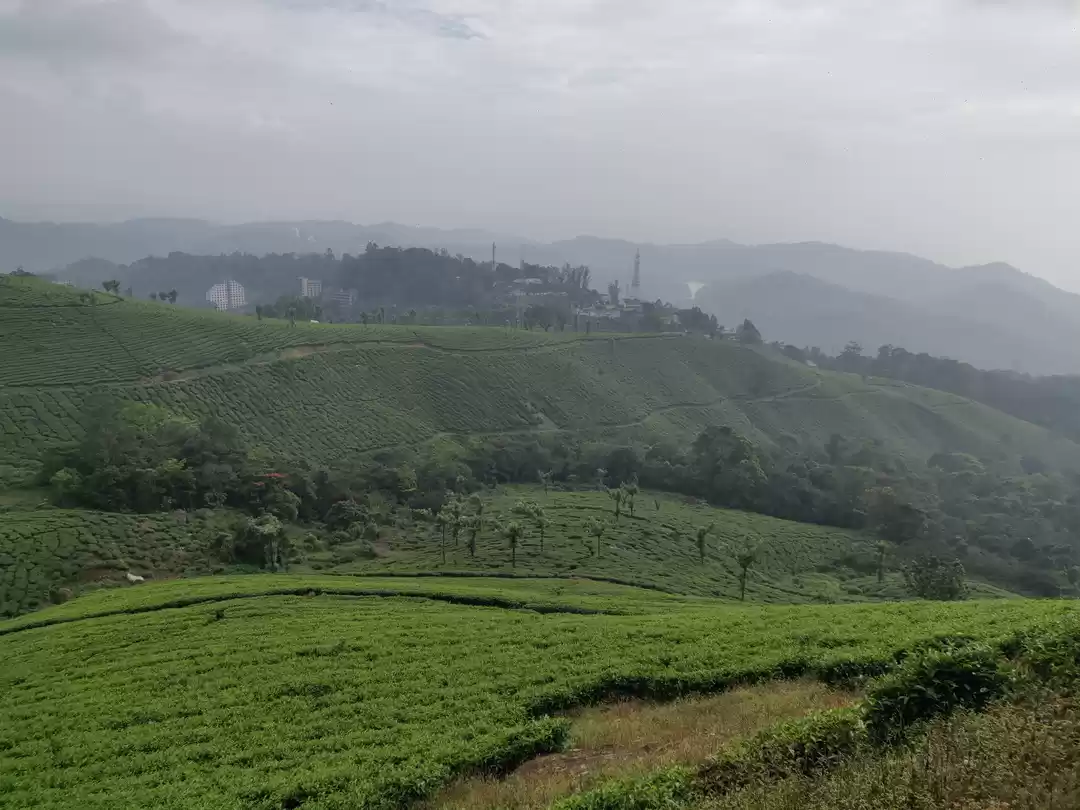 Photo of प्राकृतिक सुंदरता, ख