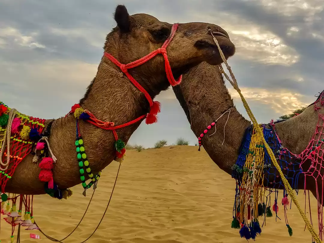 Photo of जोधपुर के ओसियां में