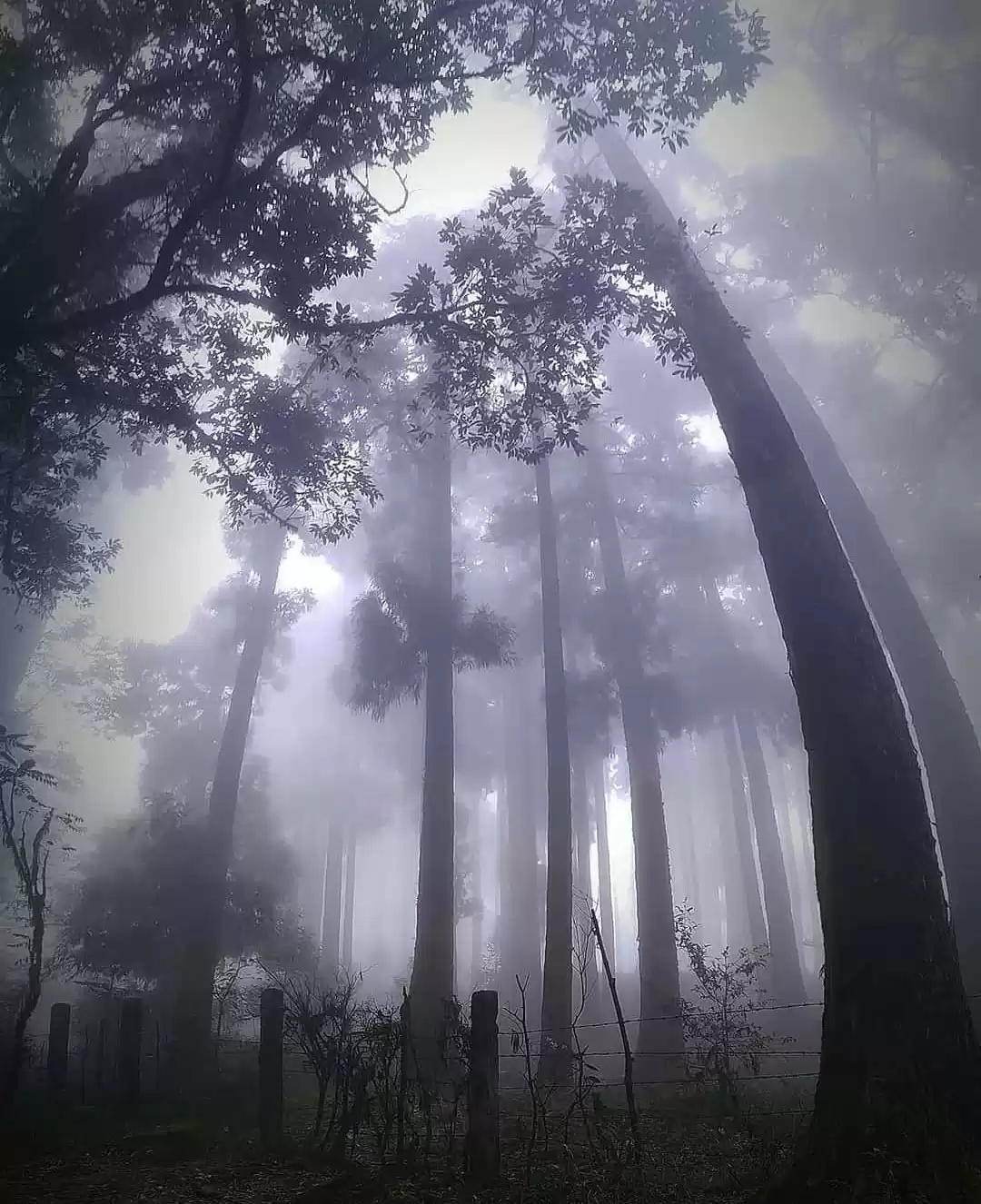 Photo of भारत की सबसे डरावनी