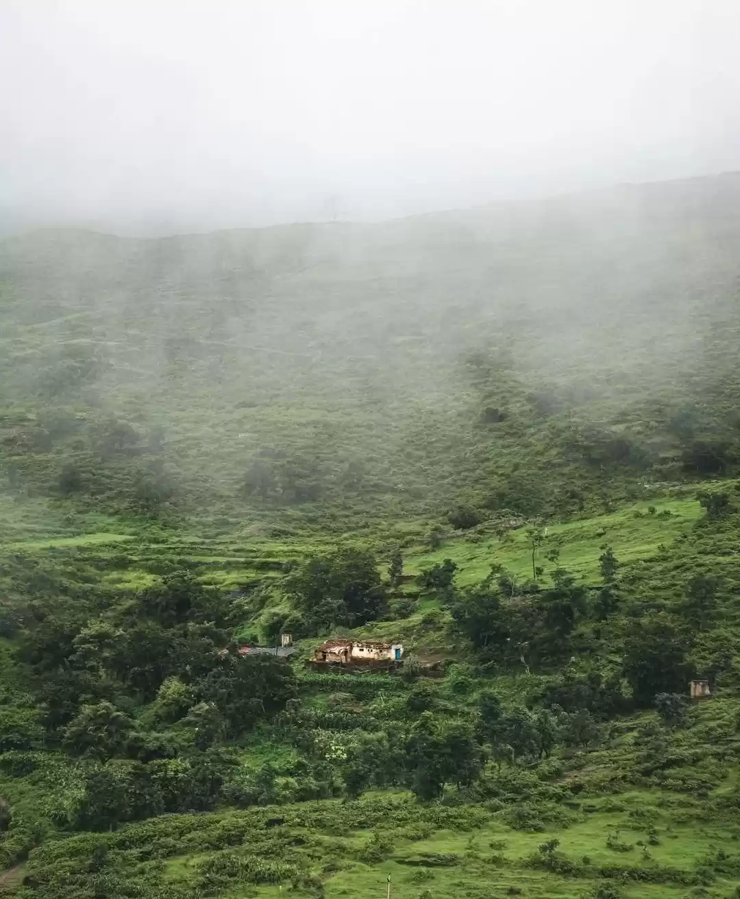 Photo of मानसून में दार्जीलिं