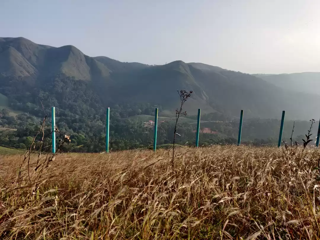 Photo of हरे-भरे घास के मैदान
