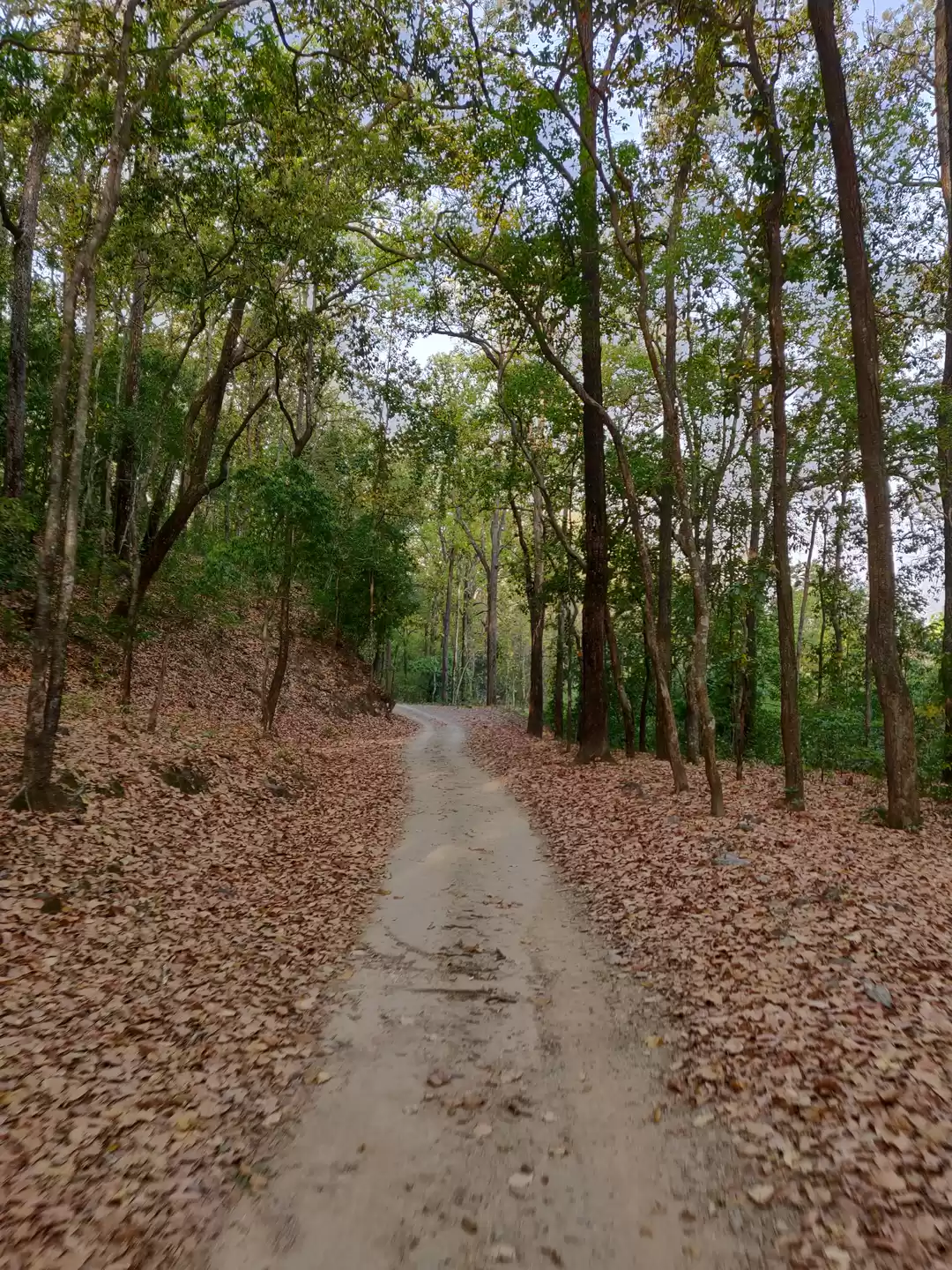 Photo of जिम कॉर्बेट राष्ट्री