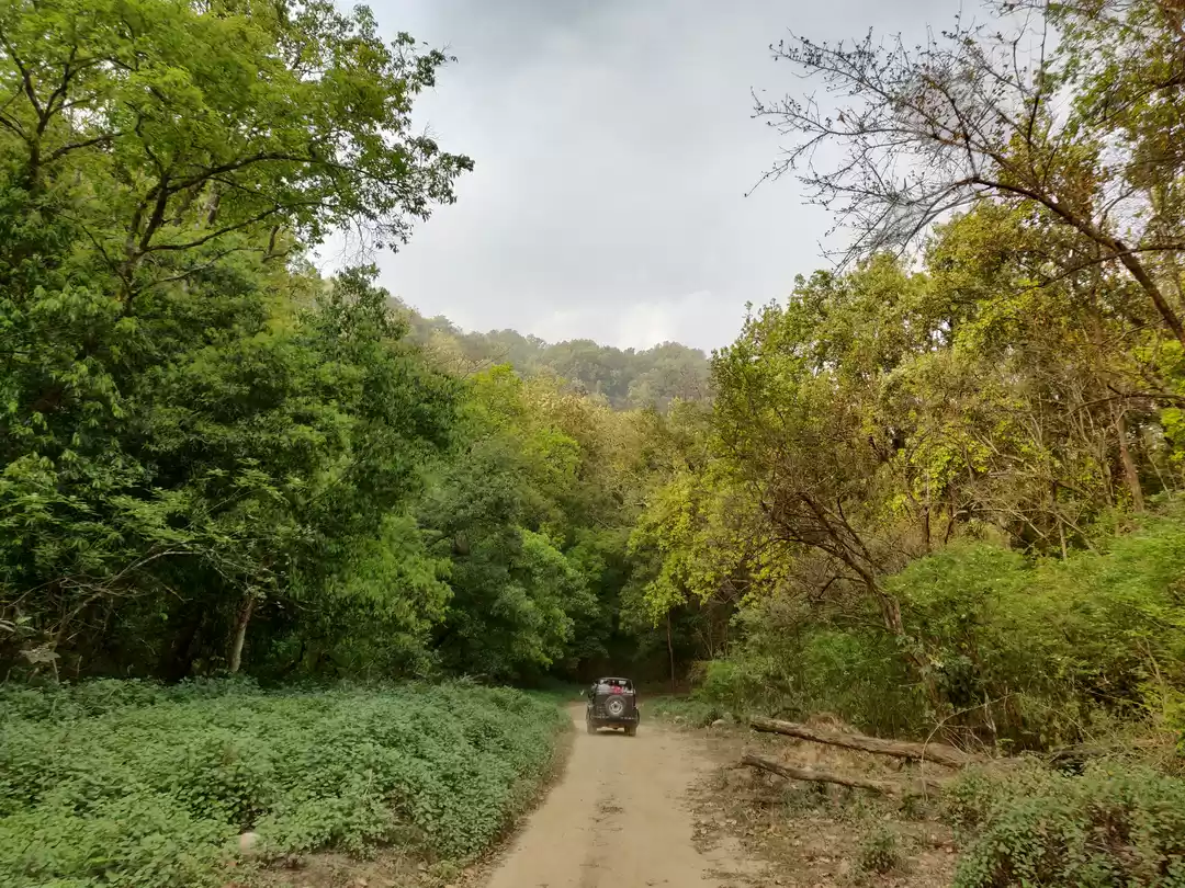 Photo of जिम कॉर्बेट के दुर्ग