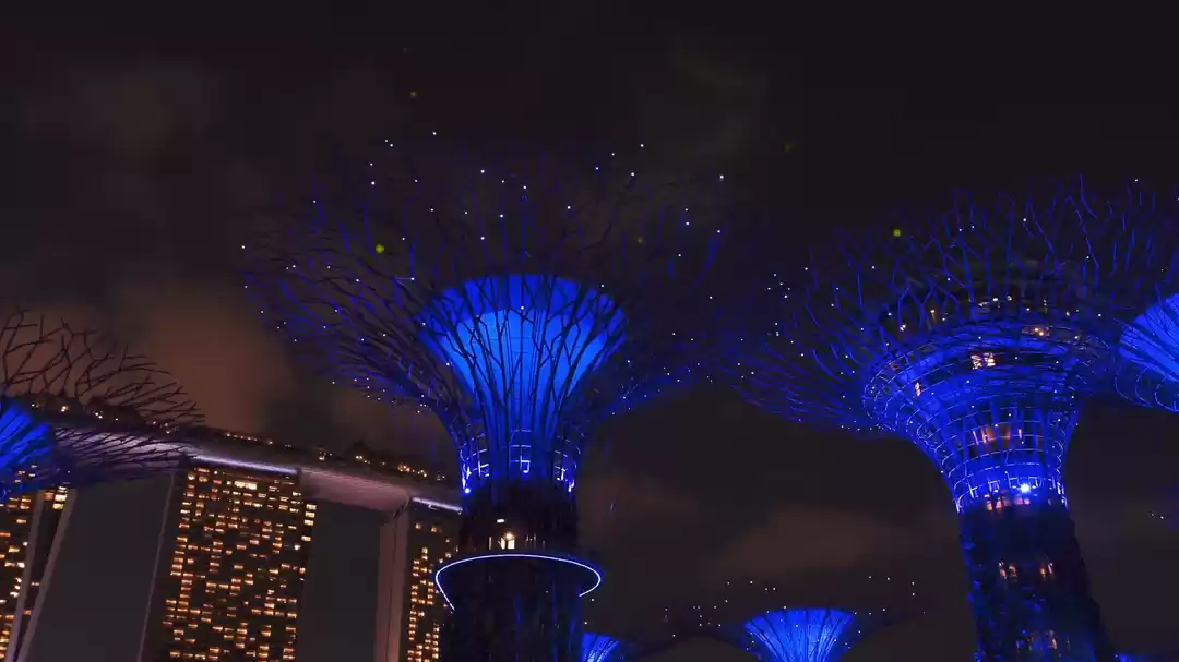 Photo of Visit Singapore if y