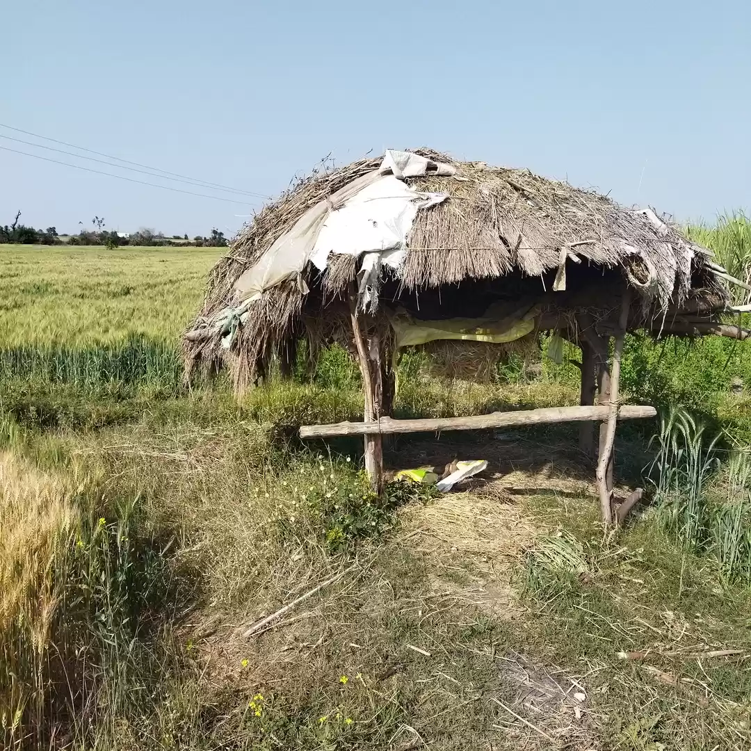 Photo of Indian farmer house