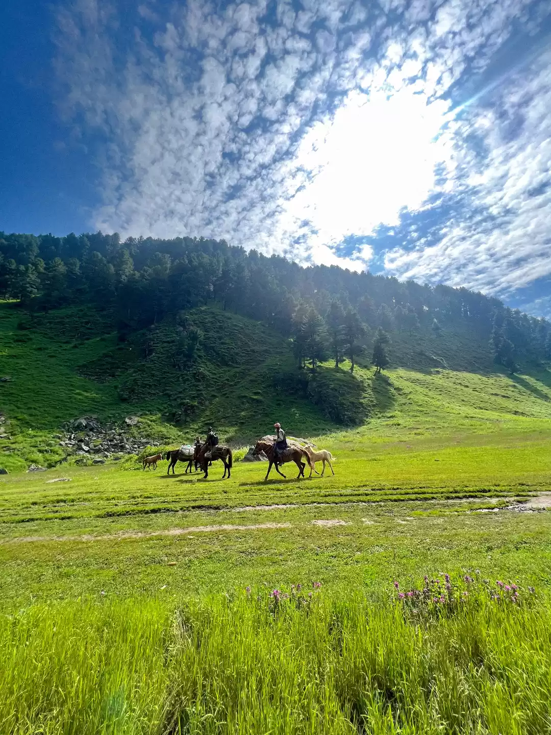 Photo of Exploring the Idylli